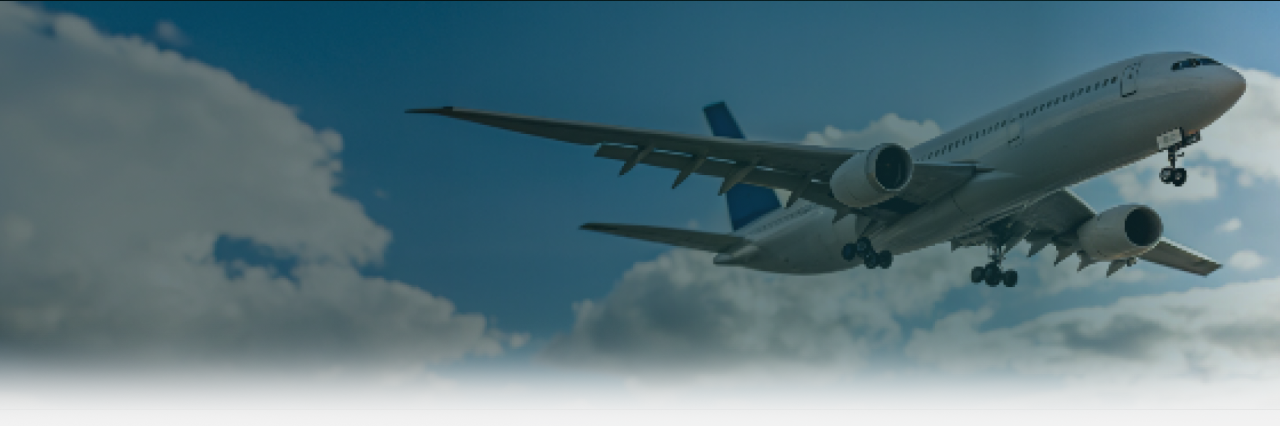 Visa Banner